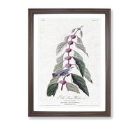 Blue Green Warbler Bird By John James Audubon Vintage Framed Print | A2 Walnut Framed Wall Art | Ready to Hang | Classic Nature Picture | Living Room Bedroom Lounge Office