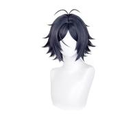 Blue Grey Cosplay Wigs for Men Short Spiky Hair Wig Realistic Anime Costume Wigs Heat Resistant Synthetic Wig for Halloween Anime Conventions
