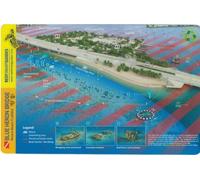 Blue Heron Bridge Palm Beach County Florida Waterproof Dive Card