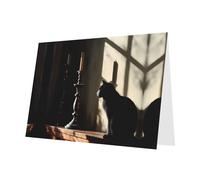 Blue Holiday greeting check blank card and pearl beautiful blank note block VVXBHGR Cat and Candlestick Pattern