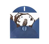 Blue Holiday greeting check blank card and pearl beautiful blank note block VVXBHGR Owl under the starry sky Pattern