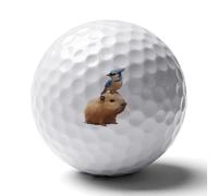 Blue Jay And Capybara Custom Golf Ball Soft Practice Golf Balls Performance Distance And Speed for Indoor Outdoor