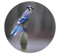 Blue Jay Bird 1000 Piece Jigsaw Puzzle Round Paper Puzzle for Adults Calm Nature Scene