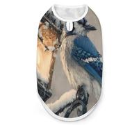 Blue Jay Bird Old Street Breathable Dog Shirts Clothes Printed Sleeveless Vest Soft Summer Tank Top for Small Medium Large Pet