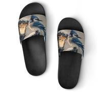 Blue Jay Bird Old Street Lightweight Shower Slippers Summer Non-Slip Sliders Sandals Comfortable House Shoes