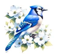 Blue Jay Bird Stickers, Cover Marks 20cm & 7cm Nature Wall Decals