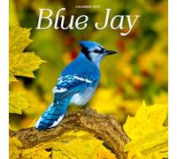 Blue Jay Calendar 2027: Wild Bird Photography and Portraits