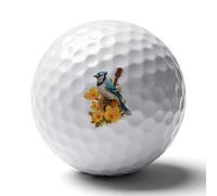 Blue Jay Guitar Floral Custom Golf Ball Soft Practice Golf Balls Performance Distance And Speed for Indoor Outdoor