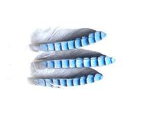 Blue Jay Hackles for Fly Tying, Blue Jay Feathers, For Making Flies, Fly Tying