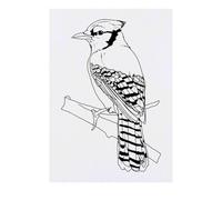 'Blue Jay on a Branch' Temporary Tattoo - Water Resistant, Skin-Safe, Non-Toxic Transfer (TO00085045)