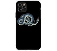 Blue Kingsnake or Wampum Snake Illustration by George Case for iPhone 11 Pro Max