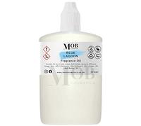 Blue Lagoon Luxury and Designer Fragrance Oil | Highly Concentrated | Perfect for Candles, Soaps, Bath Bombs, Diffusers, Wax Melts | UK Made | Vegan (Blue Lagoon, 100ml (Pack of 1))