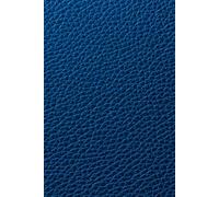 Blue Leather-Textured Notebook: 100 Pages Lined Journal for Writing, Notes & Organization