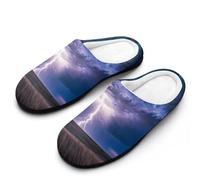 Blue Light-nings Men's Cotton Slippers Memory Foam Warm House Shoes for Indoor Outdoor 11-12(44-45)