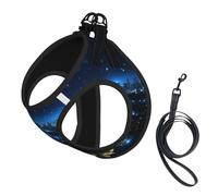 Blue Lights in The City at Night Dog Harness - Equipped with Reflective Straps and Quick Release Buckles - Suitable for Small Cats and Dogs