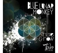 BLUE LUNAR MONKEY - HERE & NOW CD NEW