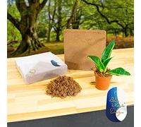 Blue Magic Design 10L Compressed Coco Soil for Gardening Brick Makes Just Add Water Seeds Growing