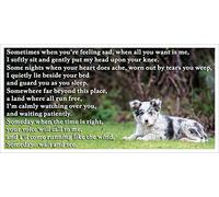 Blue Merle Border Collie Bereavement pet Dog Loss Memorial Flexible Fridge Magnet - Someday