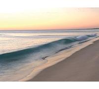 Blue Mind: The Healing Power of Water