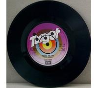 Blue Mink - YOU'RE THE ONE 7 INCH (7" VINYL 45) UK TARGET 1976