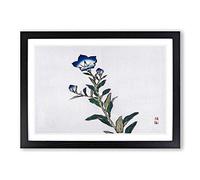 Blue Morning Glory Flower by Kono Bairei Framed Print | A2 Black Framed Wall Art | Ready to Hang | Modern Floral Picture | Living Room Bedroom Lounge Office