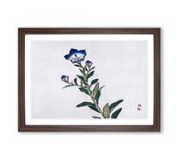 Blue Morning Glory Flower by Kono Bairei Framed Print | A2 Walnut Framed Wall Art | Ready to Hang | Modern Floral Picture | Living Room Bedroom Lounge Office