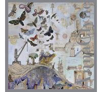 Blue Moth - Various Composers