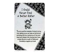 Blue Mountain Arts I Could Never Find A Better Sister Keepsake Wallet Card (WT341)