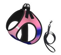 Blue Music Printing Dog Summer Harness,Soft Light Puppy Vest,Breathable Pet Harness Reflective For Easy Walking