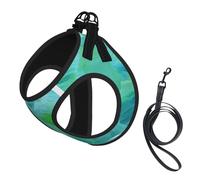 Blue Oil Paint Texture Print Pet Leash Vest,Breathable Mesh Pet Harness, Reflective For Small Medium Dogs Safe Easy Walking