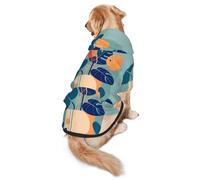 Blue Orange Turtleback Bamboo M Dog Hoodie Warm and lightweight suitable for pets to wear in autumn and winter