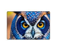 Blue Owl 1 Door Mats Indoor Outdoor Perfect Dust Grabbing Doormats Kitchen Entrance Front Door