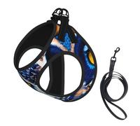 Blue Owl 1 Print Dog Harness Leash Set Reflective Pet Harness Puppy Vest Suitable Dogs Cats Small Breeds