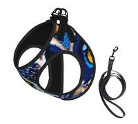 Blue Owl 1 Print Dog Harness with Leash Set with Thickened Padded Vest for Extra-Small/Small Medium Dogs