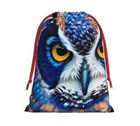 Blue Owl 1 Print Gift Reusable Bag Drawstring Festive Birthday Presents Daily Storage Office Supplies