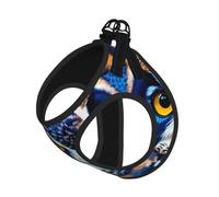 Blue Owl 1 Print Step in Dog Harness and Leash Set,Adjustable Reflective Harness for Small Dogs Cats