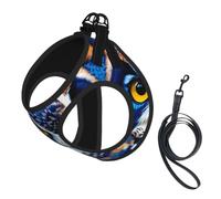 Blue Owl 1 Print Step in Dog Harness and Leash Set,Adjustable Reflective Harness for Small Dogs Cats