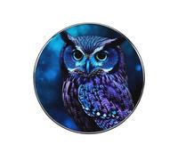 Blue Owl Fridge Magnets for Home, Personalized Round Refrigerator Magnets for Kitchen, Multifunctional Magnetic Stickers for Locker Decorations, Office