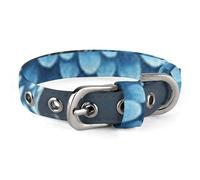 Blue Owl Pet Collar Easy Snap on Buckle Adjustable Collar with 5 Hole Positions Training Collar for Large Medium and Small Pets,Pet Supplies,Stuff,Accessories