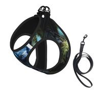 Blue Owl Print Dog Harness with Leash Set with Thickened Padded Vest for Extra-Small/Small Medium Dogs