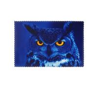 Blue Owl Printed Placemats Set of 6 PCS, Heat Resistant Non-Slip Table Mats for Dining Table, Washable Kitchen Place Mats for Indoor & Outdoor