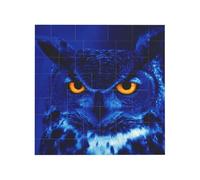 Blue Owl Printed Square Jigsaw Puzzle 12.8x12.8 CM, Puzzle Challenging Game for Adults Gifts, Family Fun Decorative Wall Decor