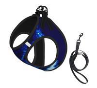 Blue Owl Printing Dog Summer Harness With Leash Set,Adjustable And Reflective Step-In Puppy Pet Vest Harnesses