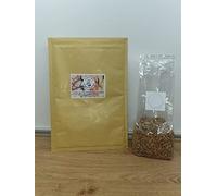 Blue Oyster Mushroom Spawn/Seed, Foragers Table 250g Heat Sealed Bag (Pleurotus ostreatus)