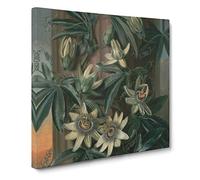 Blue Passion Flower by Philip Reinagle Canvas Print | Gallery Wrapped 30mm Frame Wall Art | 20x20 inches | Ready to Hang | Modern Floral Picture | Living Room Bedroom Lounge Office