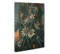 Blue Passion Flower By Philip Reinagle Canvas Print | Gallery Wrapped 30mm Frame Wall Art | 30x20 inches | Ready to Hang | Classic Floral Picture | Living Room Bedroom Lounge Office