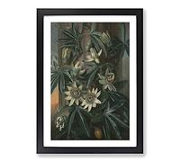 Blue Passion Flower by Philip Reinagle Framed Print | A2 Black Framed Wall Art | Ready to Hang | Modern Floral Picture | Living Room Bedroom Lounge Office