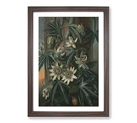 Blue Passion Flower by Philip Reinagle Framed Print | A2 Walnut Framed Wall Art | Ready to Hang | Modern Floral Picture | Living Room Bedroom Lounge Office