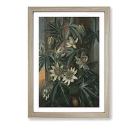Blue Passion Flower by Philip Reinagle Framed Wall Art Print A2 Oak