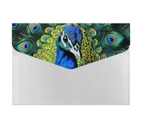 Blue Peacock Accordion File Organizer 6 Pocket Document Organizer Expanding File Folder Accordion Folder with Labels, Travel Document Folders Plastic Envelopes with Snap Closure 13x9.1 Inch